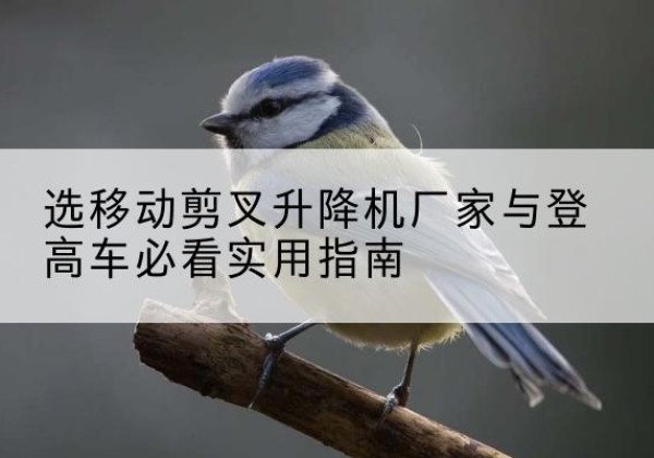 兴山电动升降机厂家-选移动剪叉升降机厂家与登高车必看实用指南